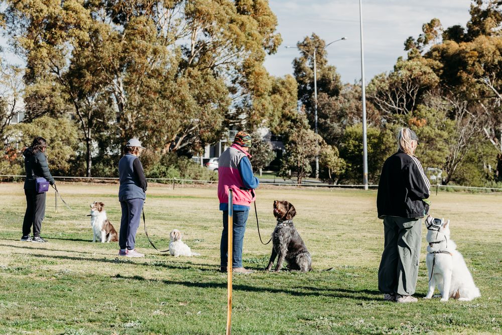 Werribee Obedience Dog Club Fun Day 2025