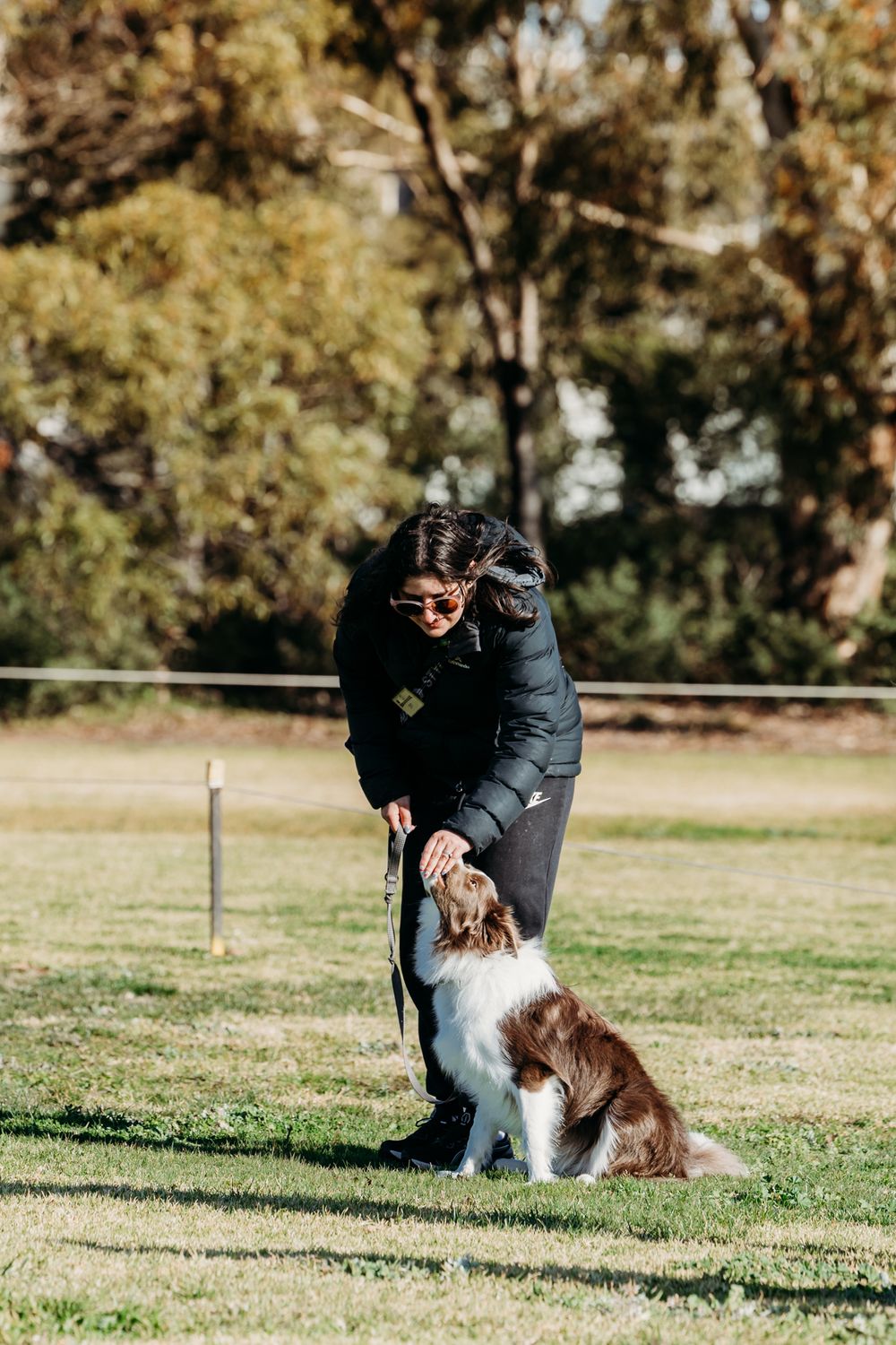 Werribee Obedience Dog Club Fun Day 2025