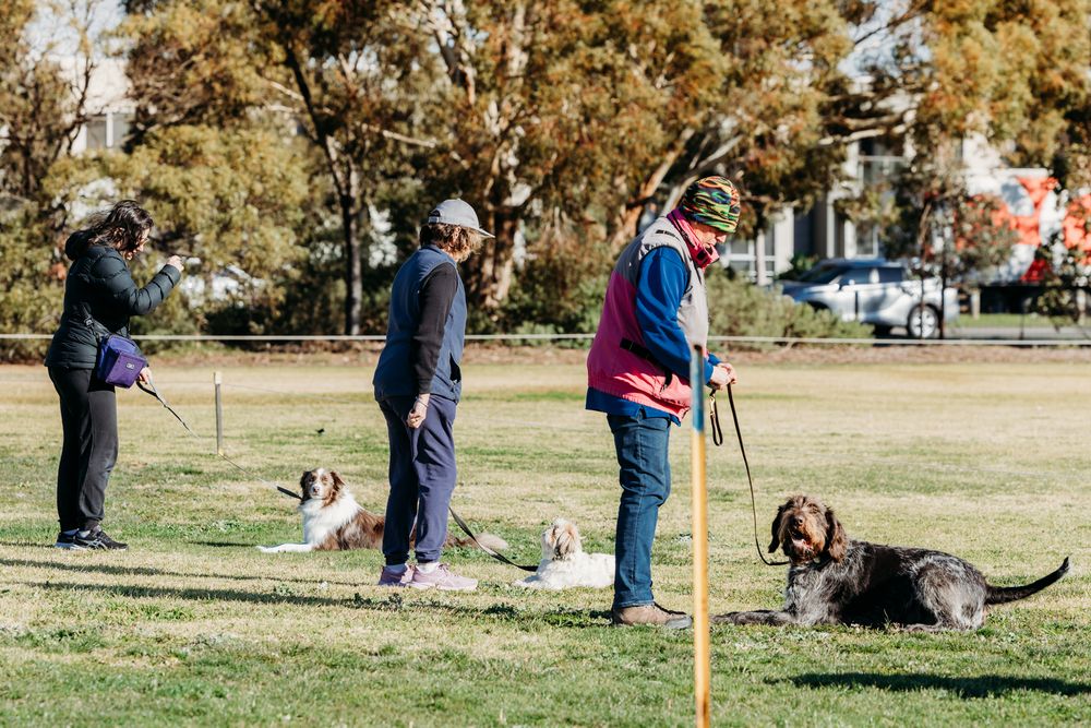 Werribee Obedience Dog Club Fun Day 2025