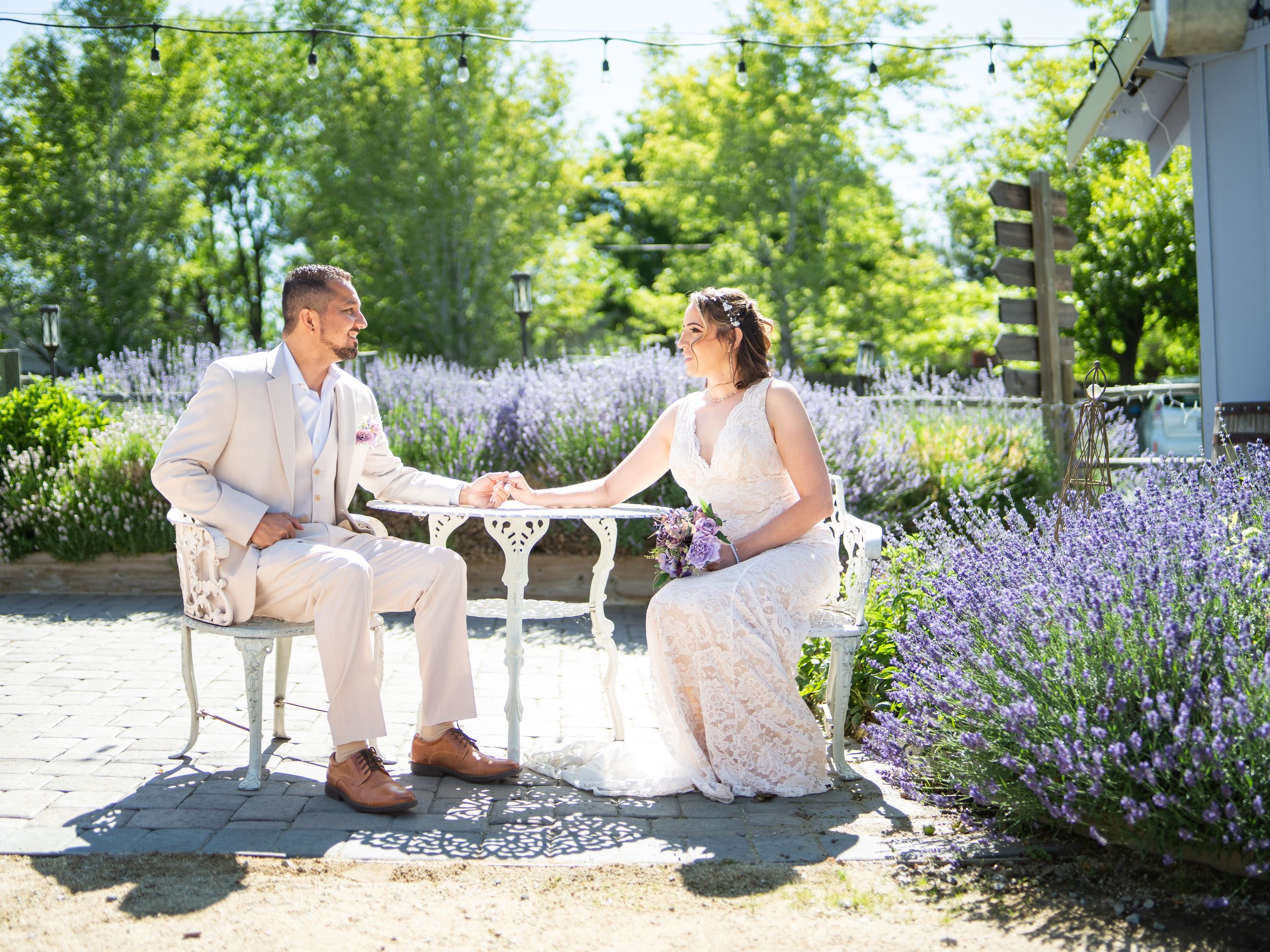 Couple sitting together on white patio chairs surrounded by blooming lavender bushes on a sunny summer day.