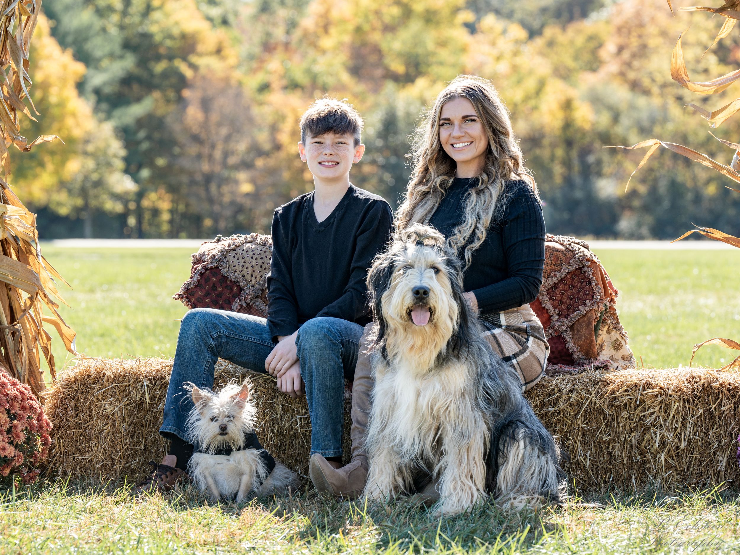 Portrait of a Family with dogs