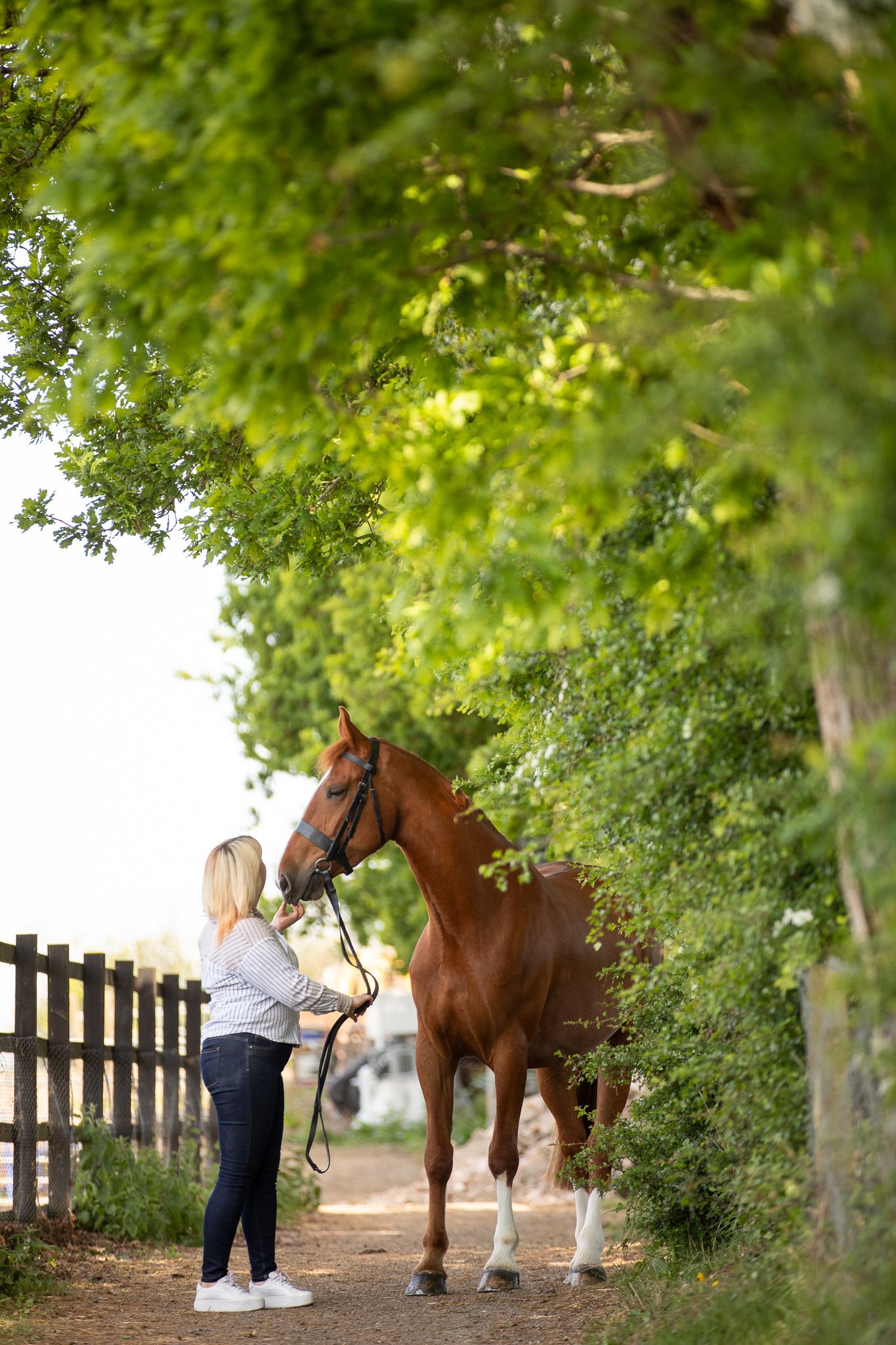 Young girl in denim overalls embraces a palomino horse in a sun-dappled forest setting.
