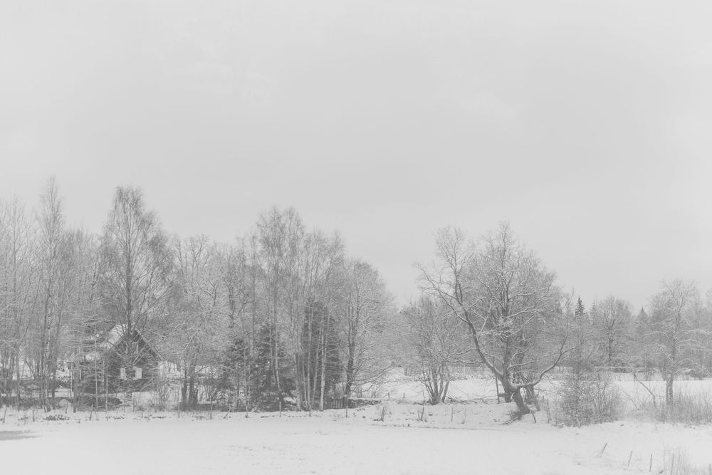 Minimalist black and white winter landscape with snow-covered field, bare trees, and small cabin.