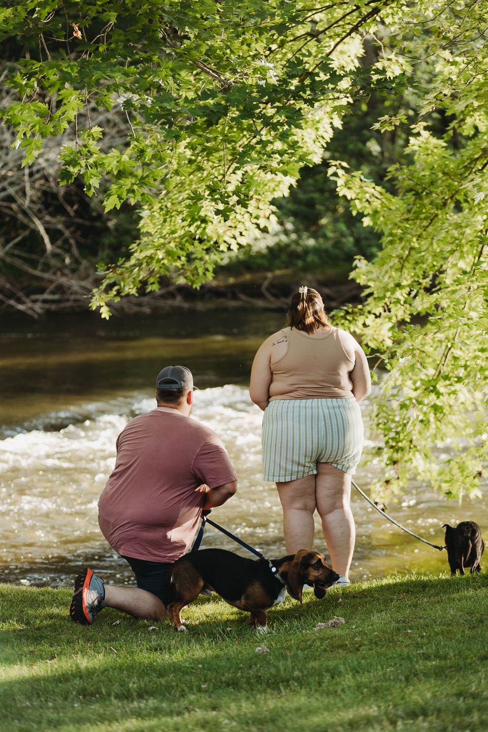 Two people spend time by a flowing river on a sunny day with green trees overhead and dogs beside them.