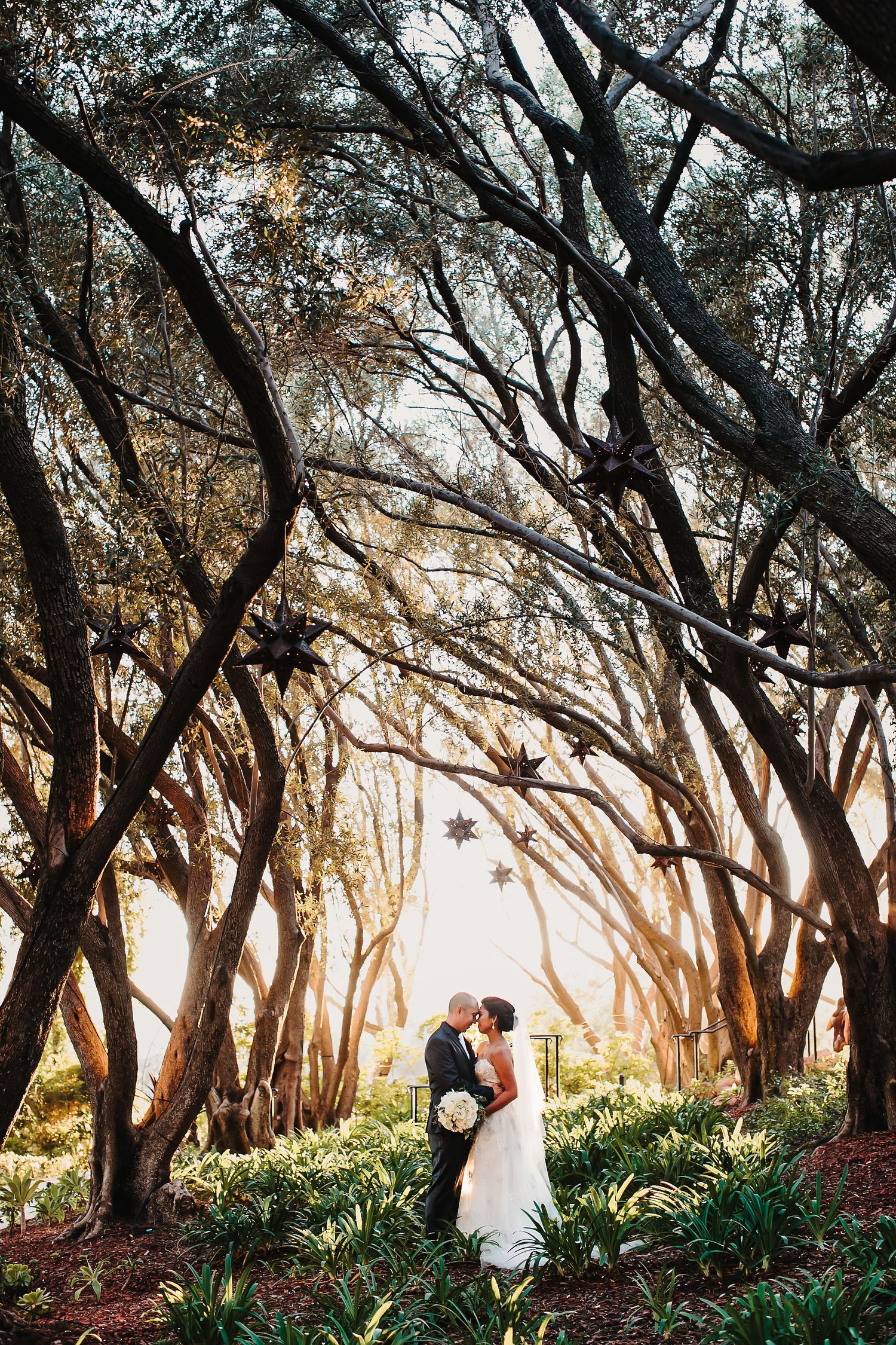 A romantic couple shares a tender moment under a canopy of Spanish moss-draped trees at sunset.