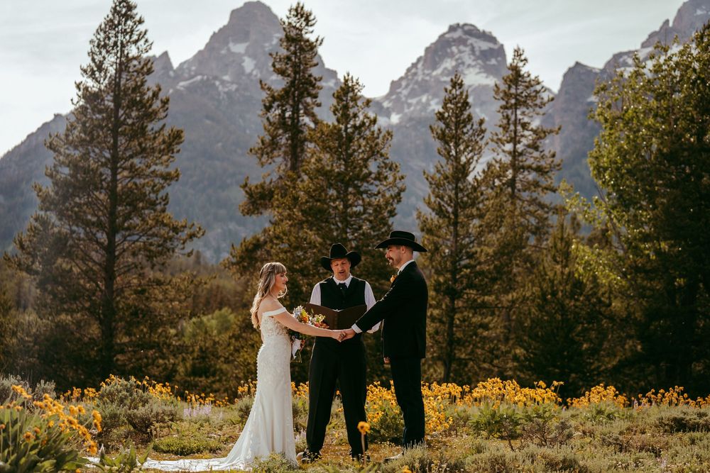 Rustic mountain wedding ceremony with a bride and groom exchanging vows in a wildflower meadow, surrounded by pine trees and mountains