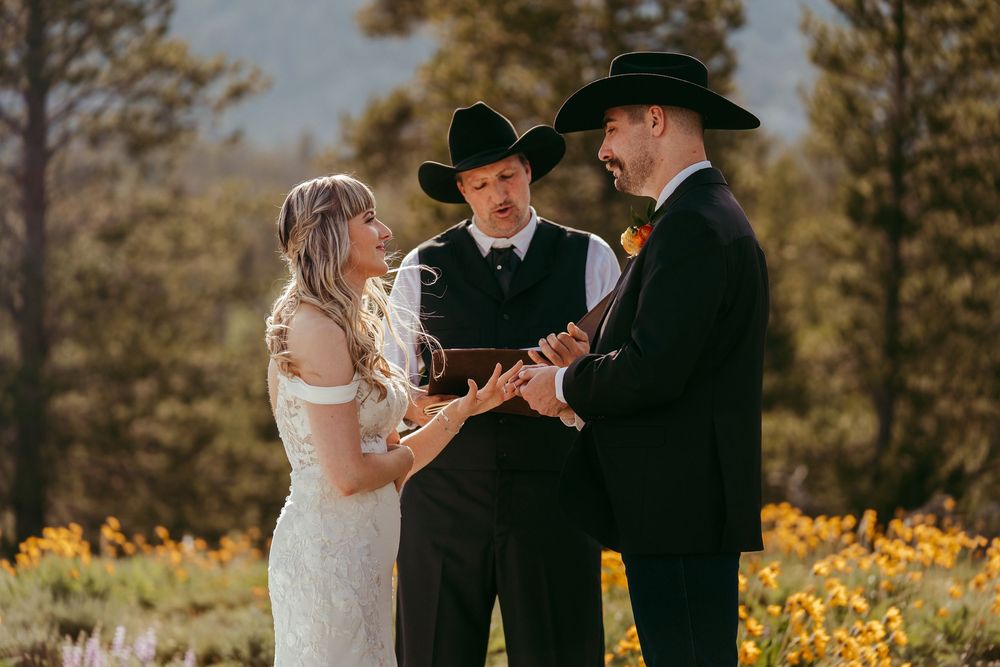 Rustic mountain wedding ceremony with a bride and groom exchanging vows in a wildflower meadow, surrounded by pine trees and mountains