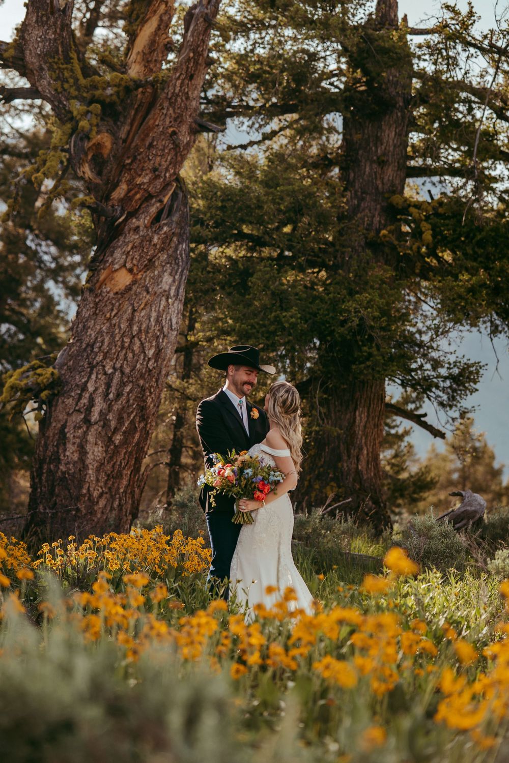Romantic country wedding photo of a bride and groom kissing in a sunlit mountain meadow