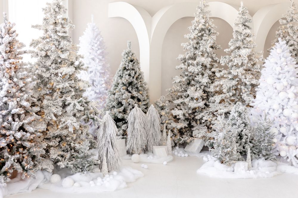 White winter wonderland display with frosted Christmas trees and twinkling lights creating a magical holiday scene.