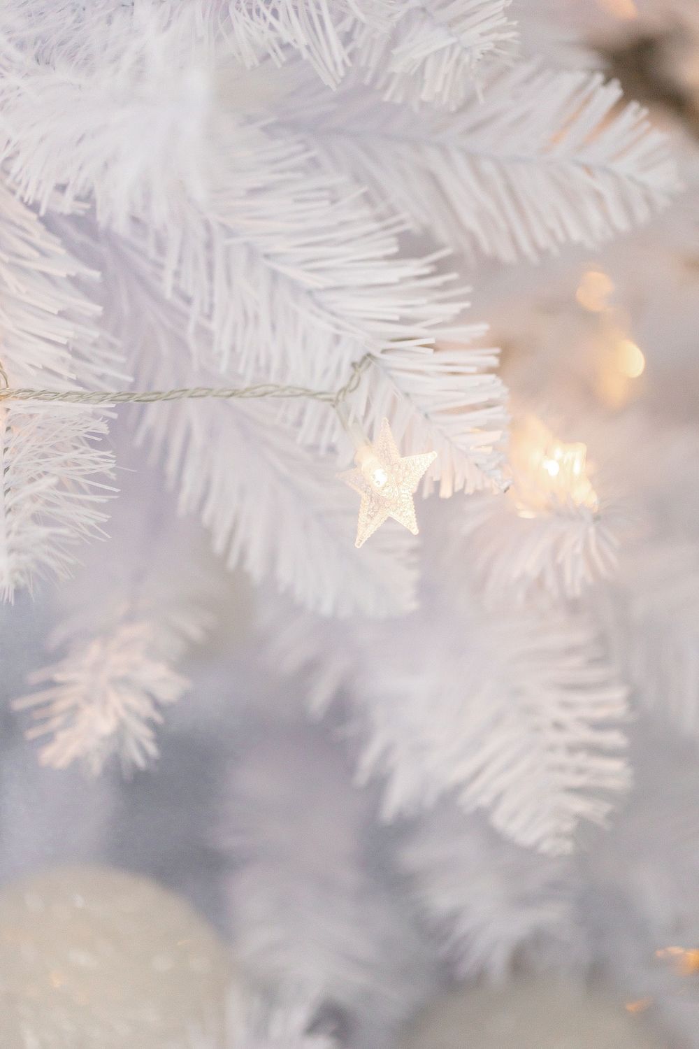 White Christmas tree branches with a glowing star ornament and soft bokeh lights in the background.