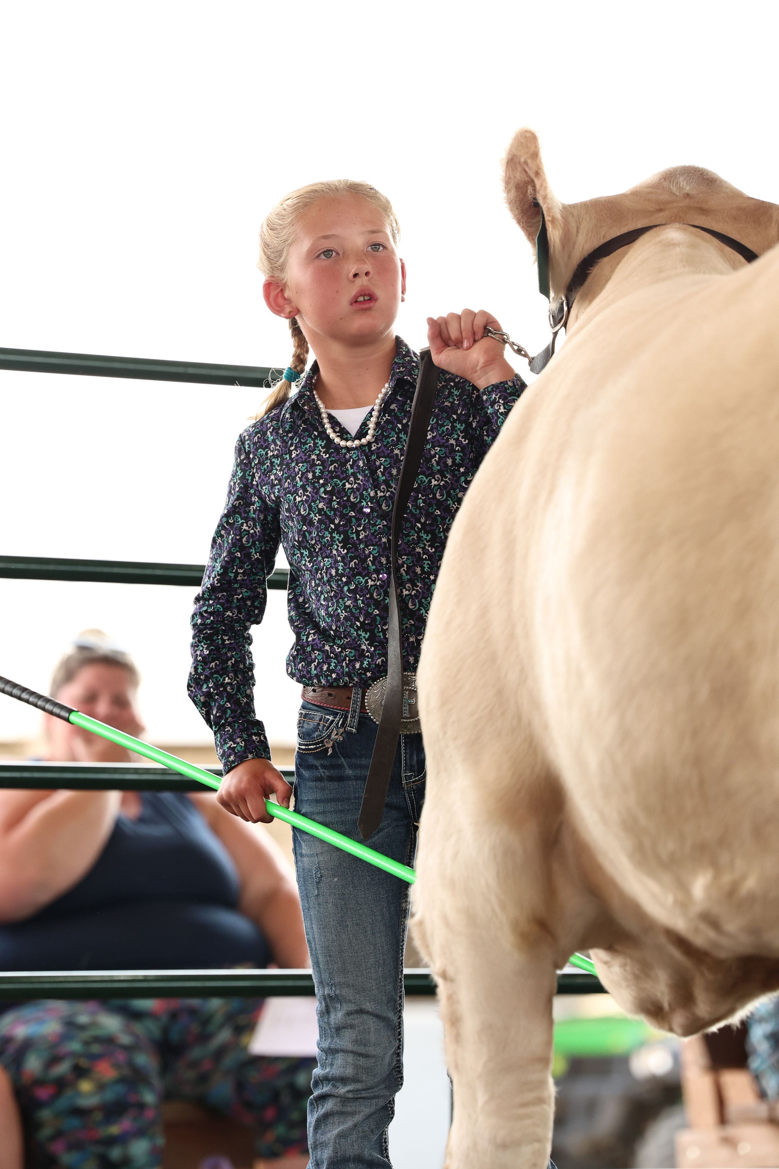 Beef Show Showmanship