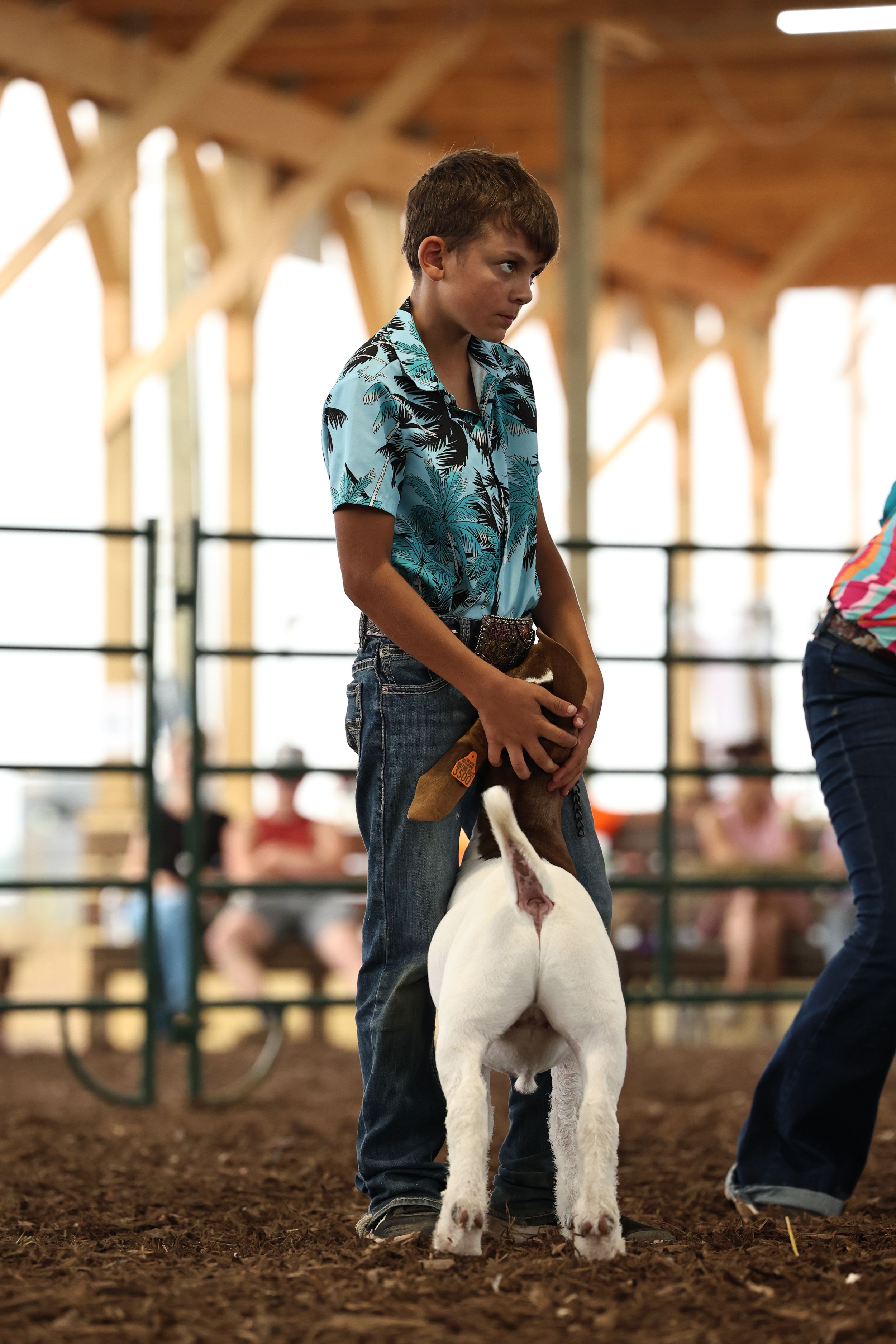 Goat Show, Showmanship