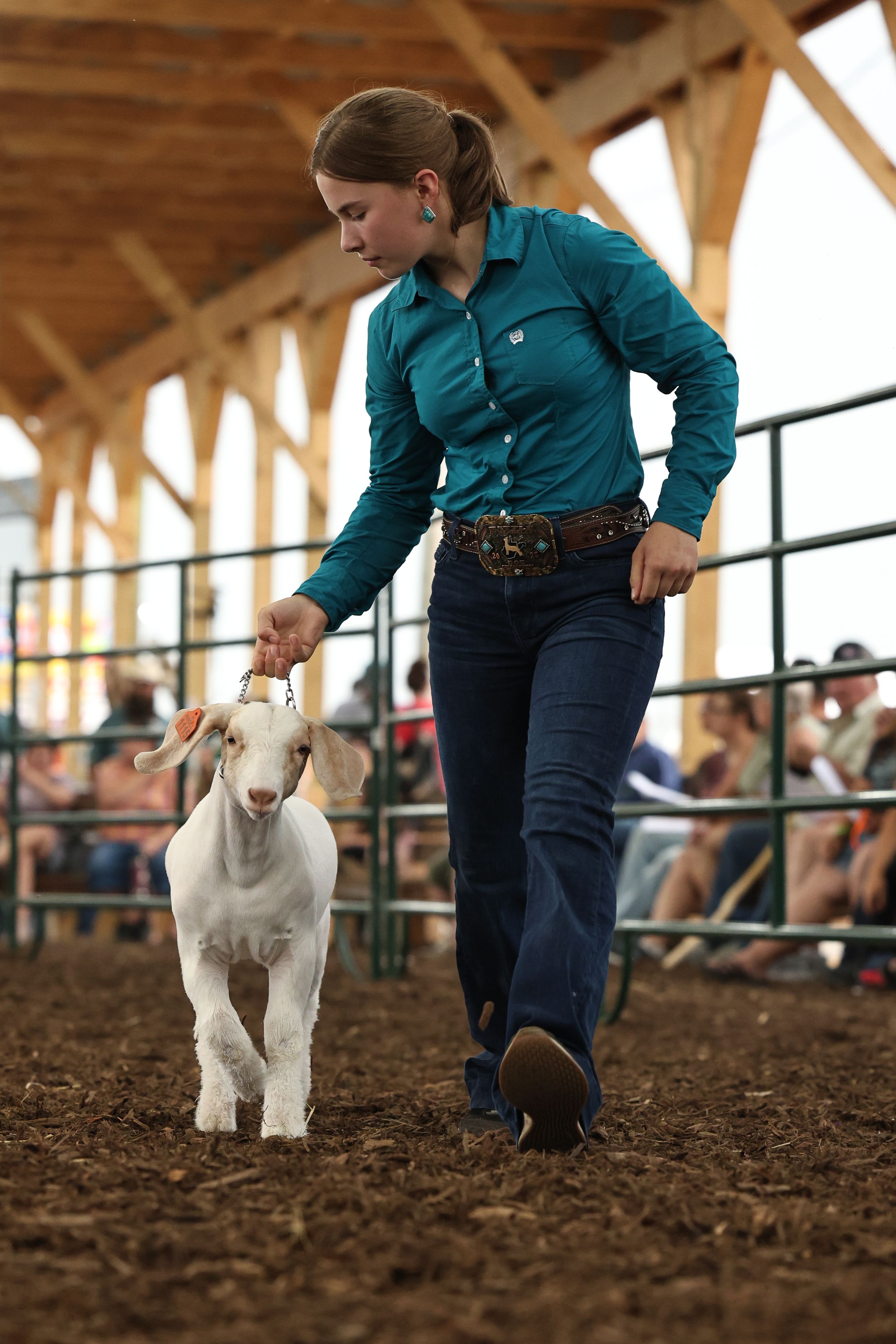 Goat Show, Showmanship