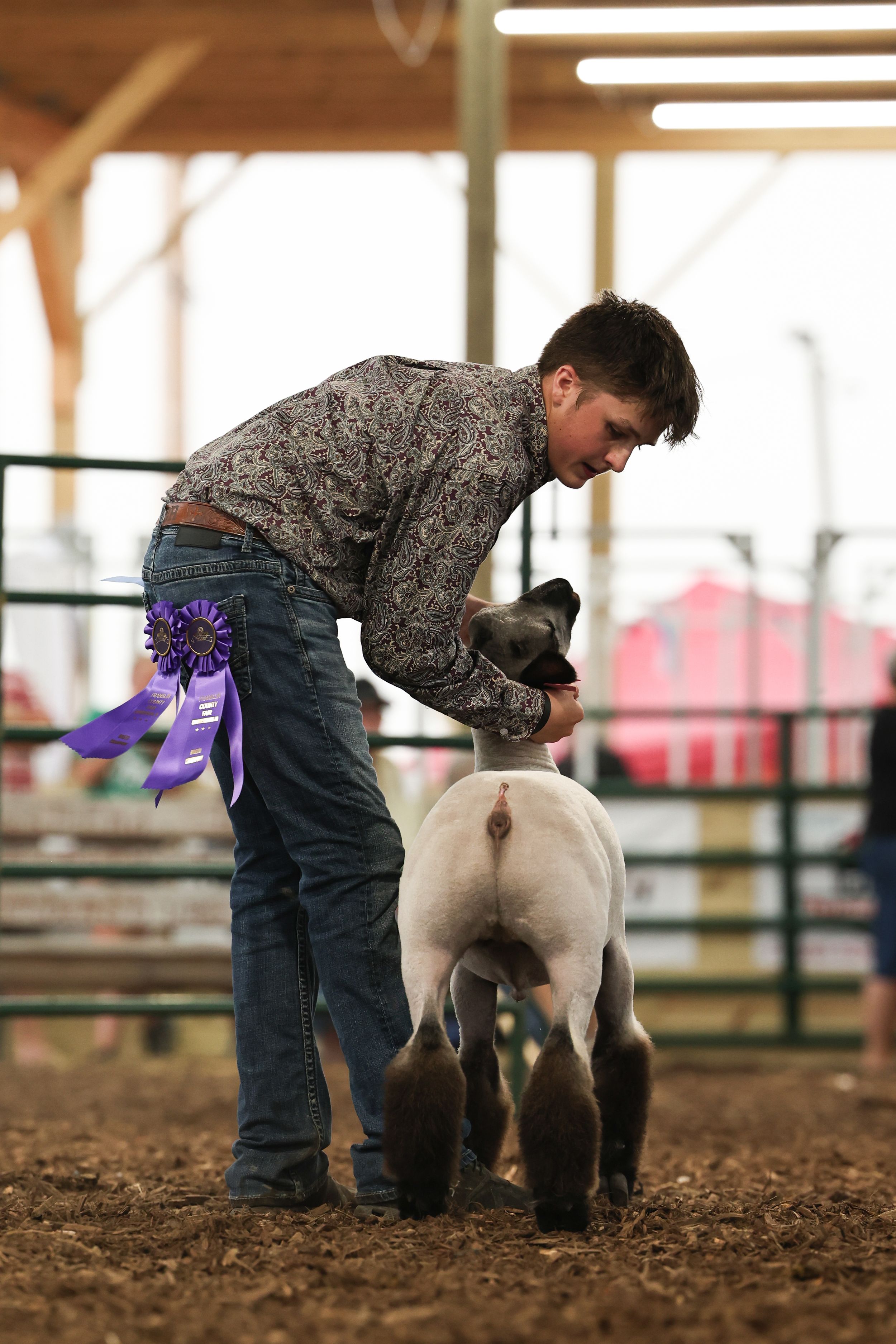 Sheep Show, Showmanship