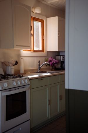 Cozy kitchen interior with white appliances, sage green cabinets, and natural light streaming through window.