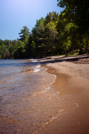 Waves gently lapping on sandy beach shore with pine trees along waterfront.