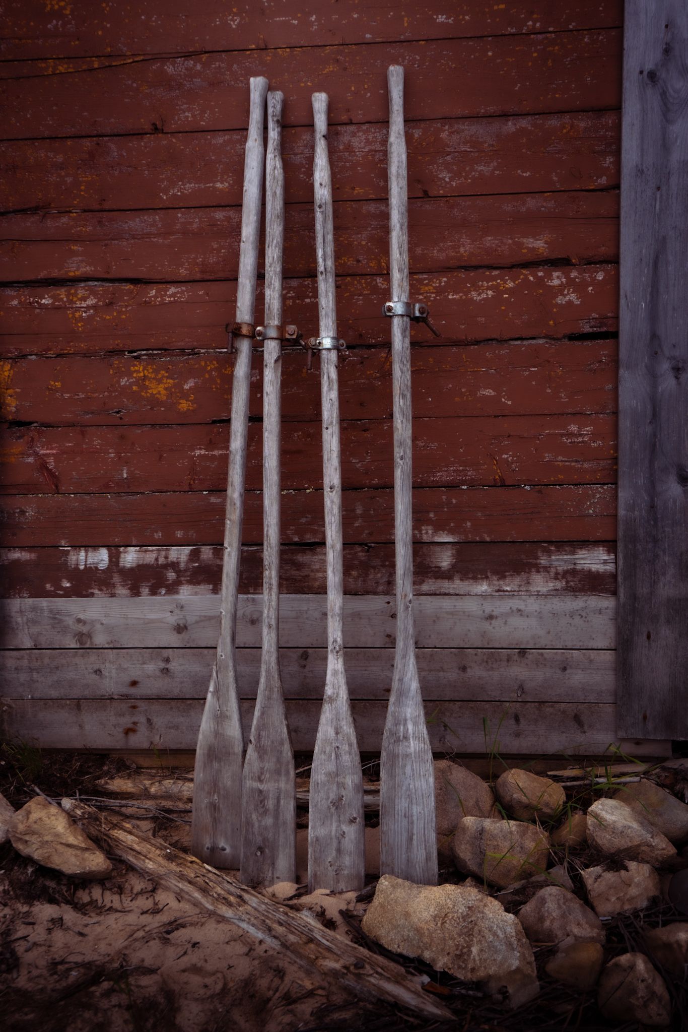 Vintage wooden oars leaning against a rustic red barn wall with rocks at the base.