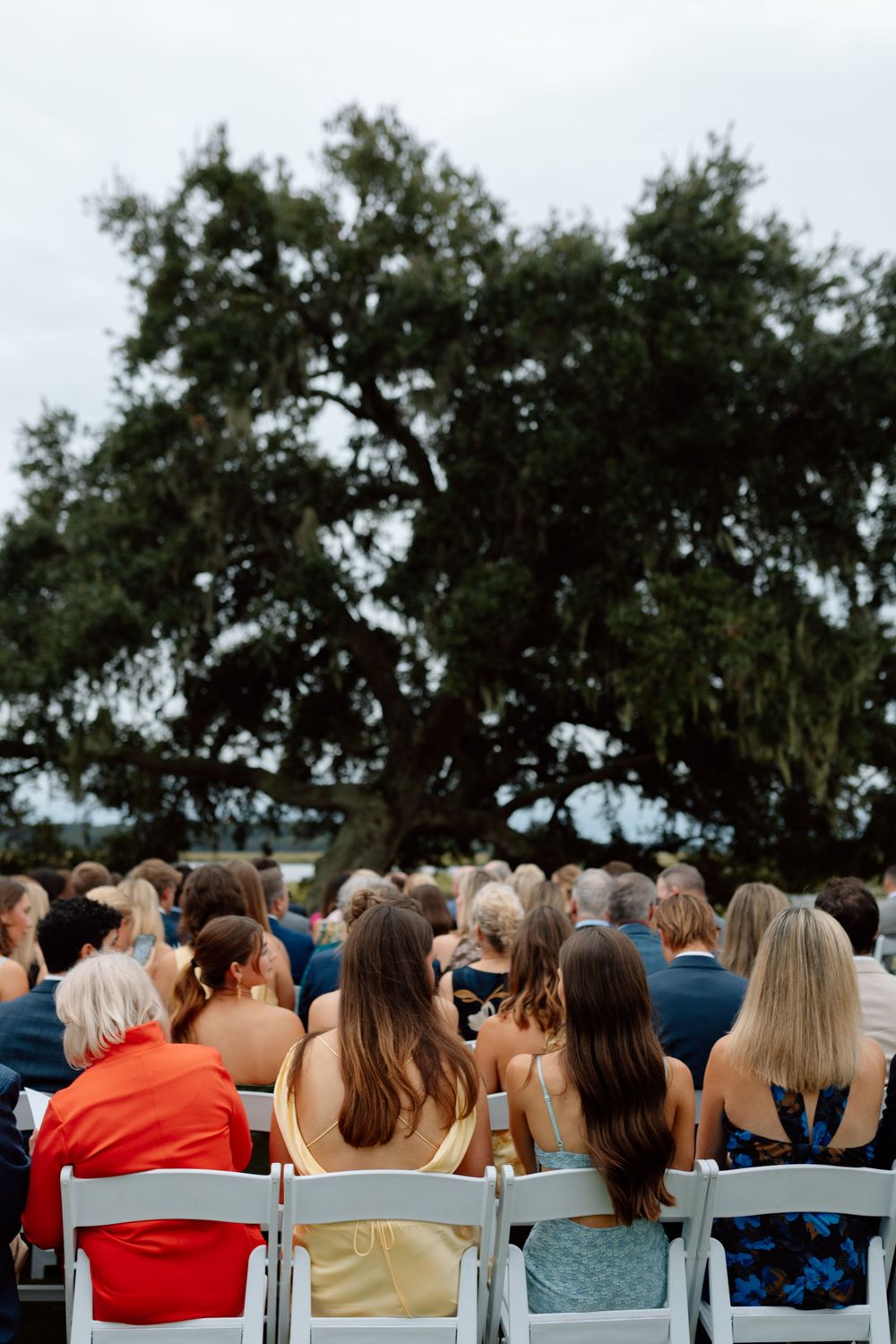 Wedding guests seated in white chairs facing a large oak tree at an outdoor ceremony.