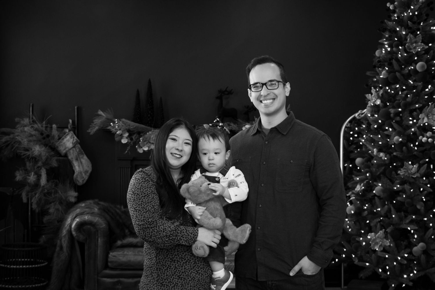 christmas seasonal holiday photoshoots luxury high end beautiful photos quick turn around retouched crisp true to color editing cincinnati