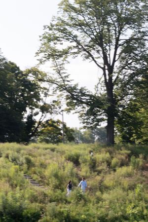 A couple hold hands and run across a grassy hill with trees in the background and motion blur.
