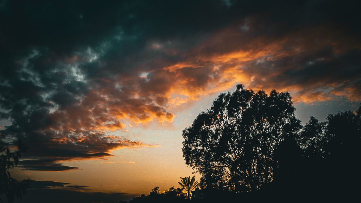 Dramatic sunset sky with silhouetted trees and vibrant orange clouds.