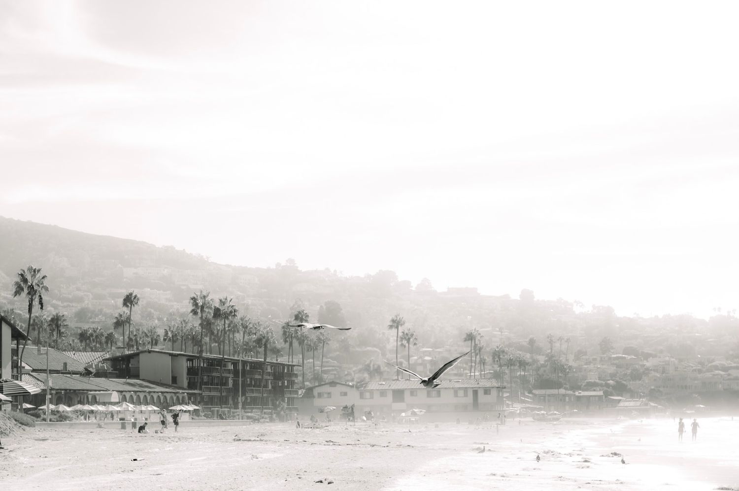 Vintage black and white aerial photograph showing a coastal town with palm trees and buildings along the shoreline.