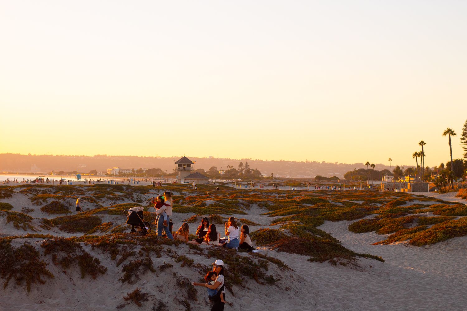 Scenic coastal landscape at sunset showing beach paths and natural vegetation.