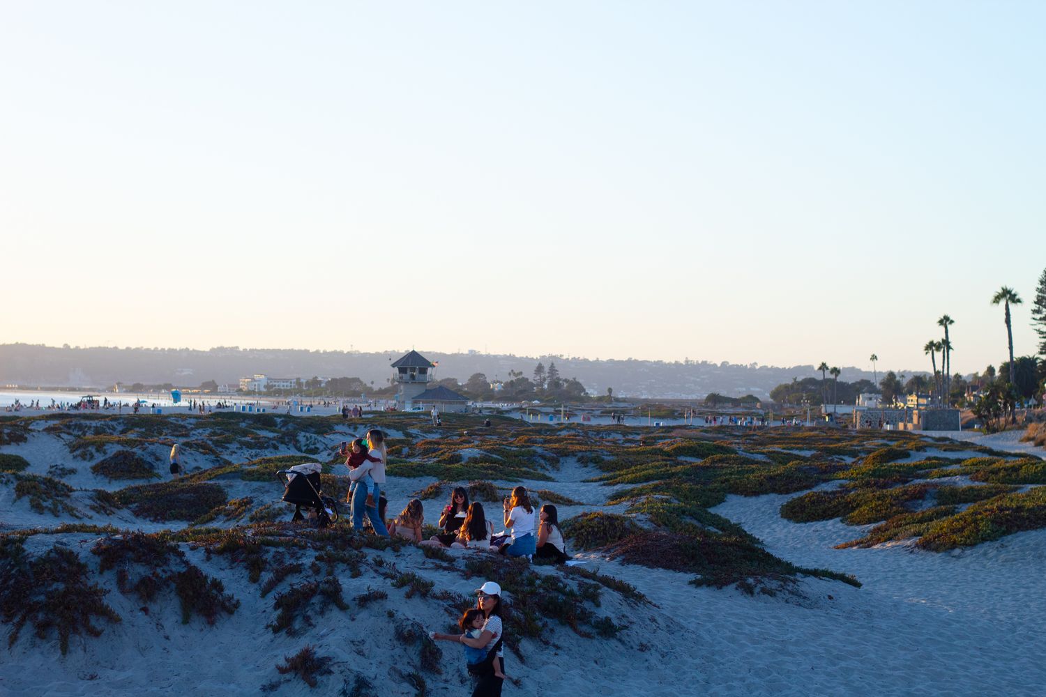 Panoramic view of a coastal beach area with paths and palm trees at dusk.