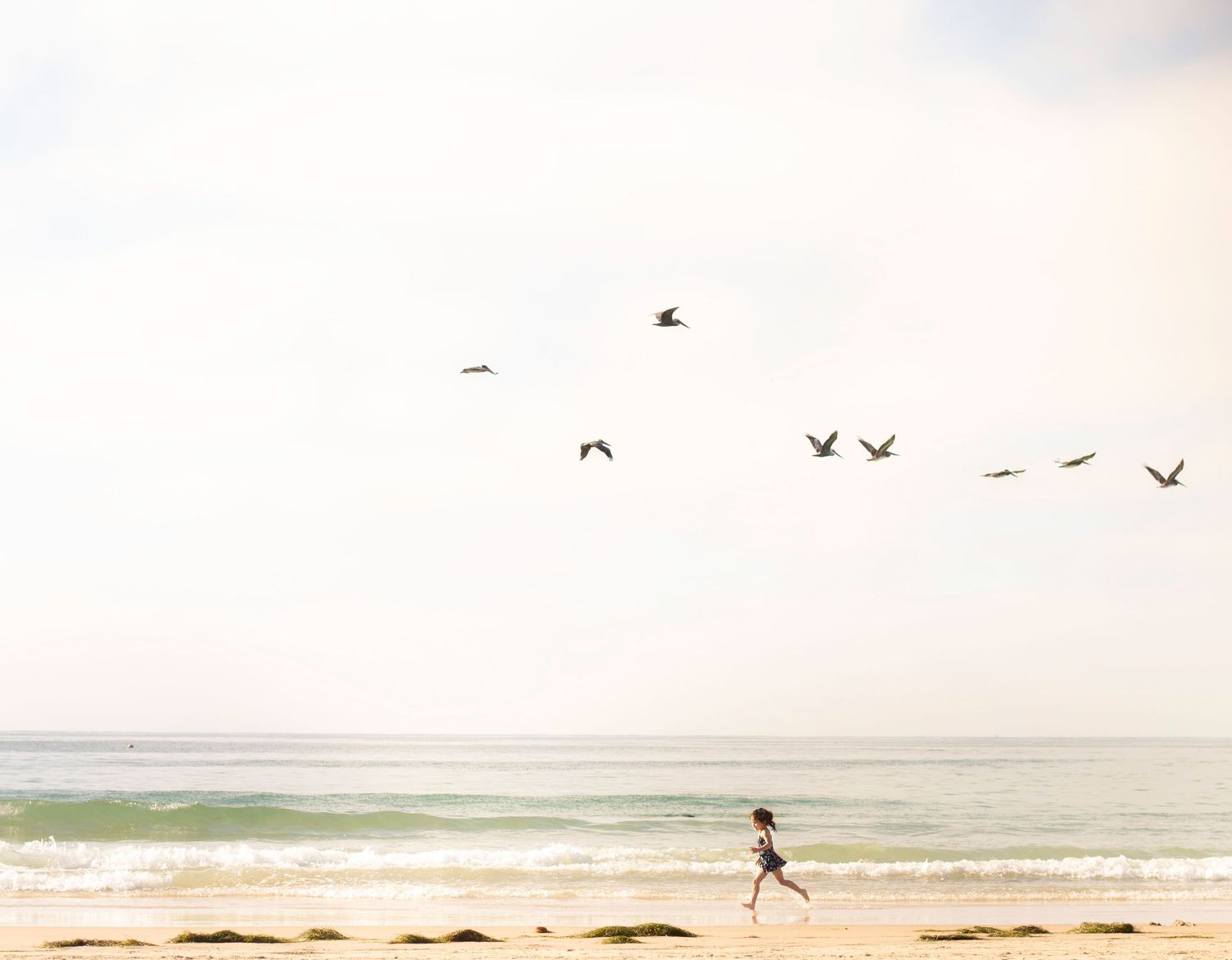Birds soar over a peaceful beach landscape with rolling waves and sandy shores.