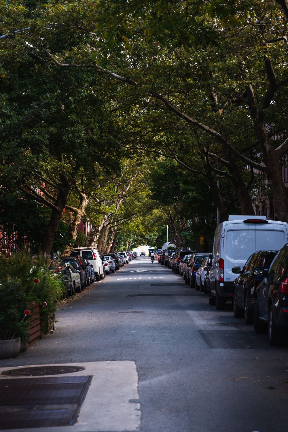 A tree-lined residential street with cars parked on both sides and sunlight filtering through the branches.
