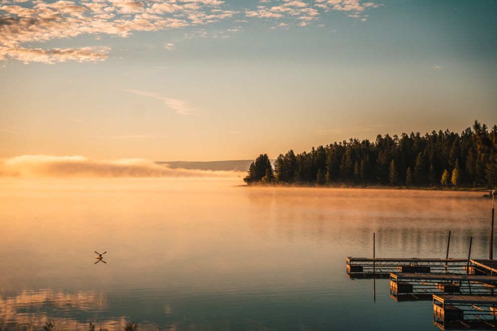 Misty golden sunrise over lake with wooden dock and silhouetted pine forest.