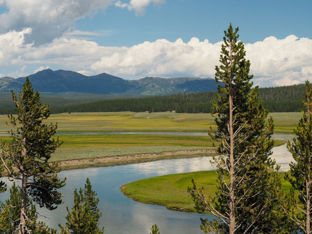 Meandering river flows through a green valley with mountain peaks and pine trees in the background.