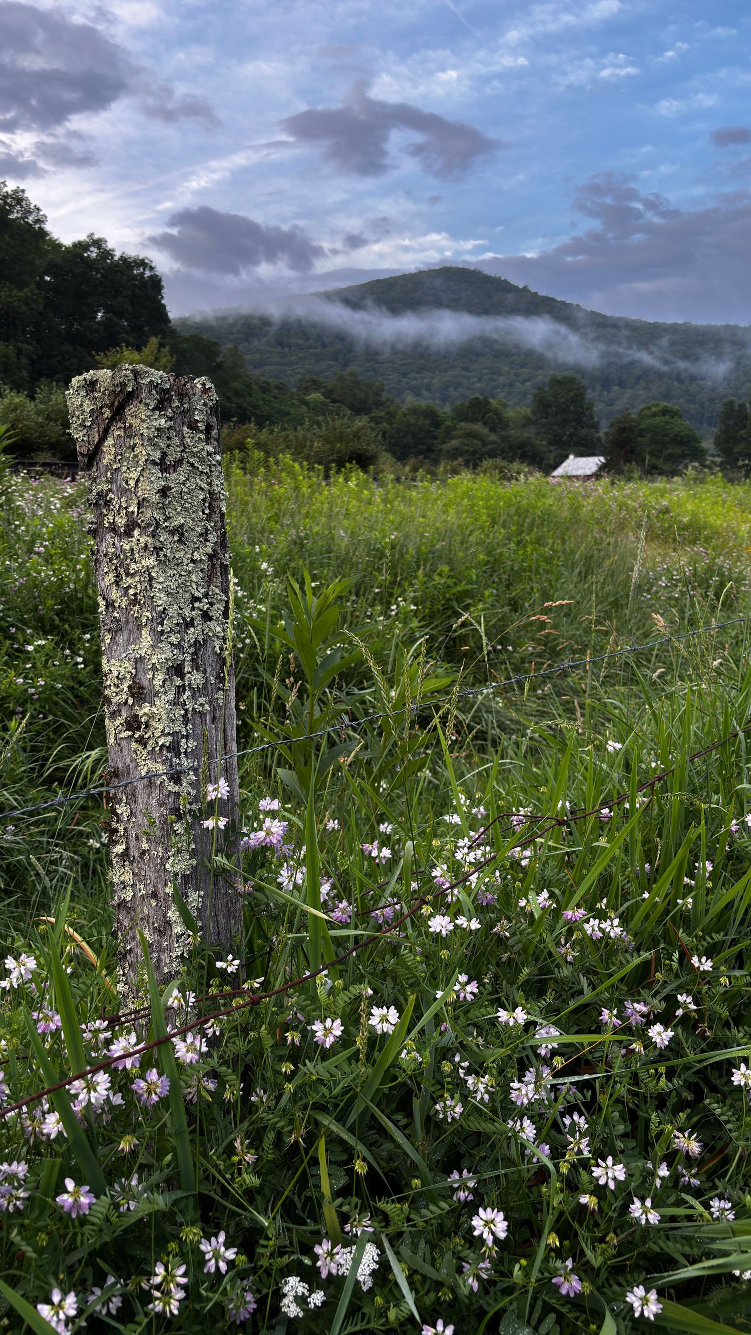 Fence line in spring near town of Durbin West Virginia