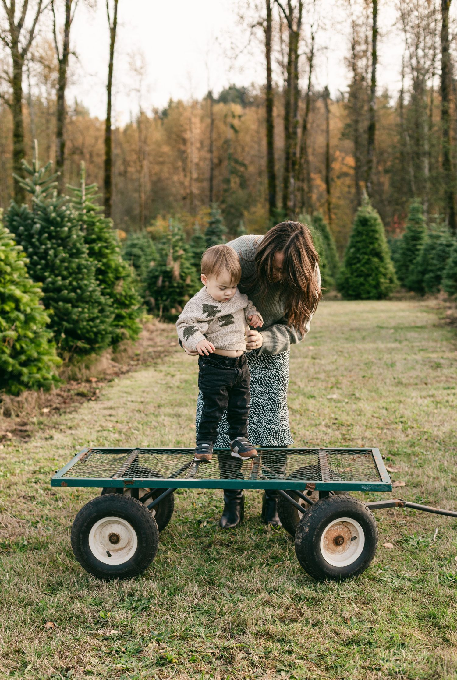 Two people sit together on a green utility wagon in a Christmas tree farm on an autumn afternoon.