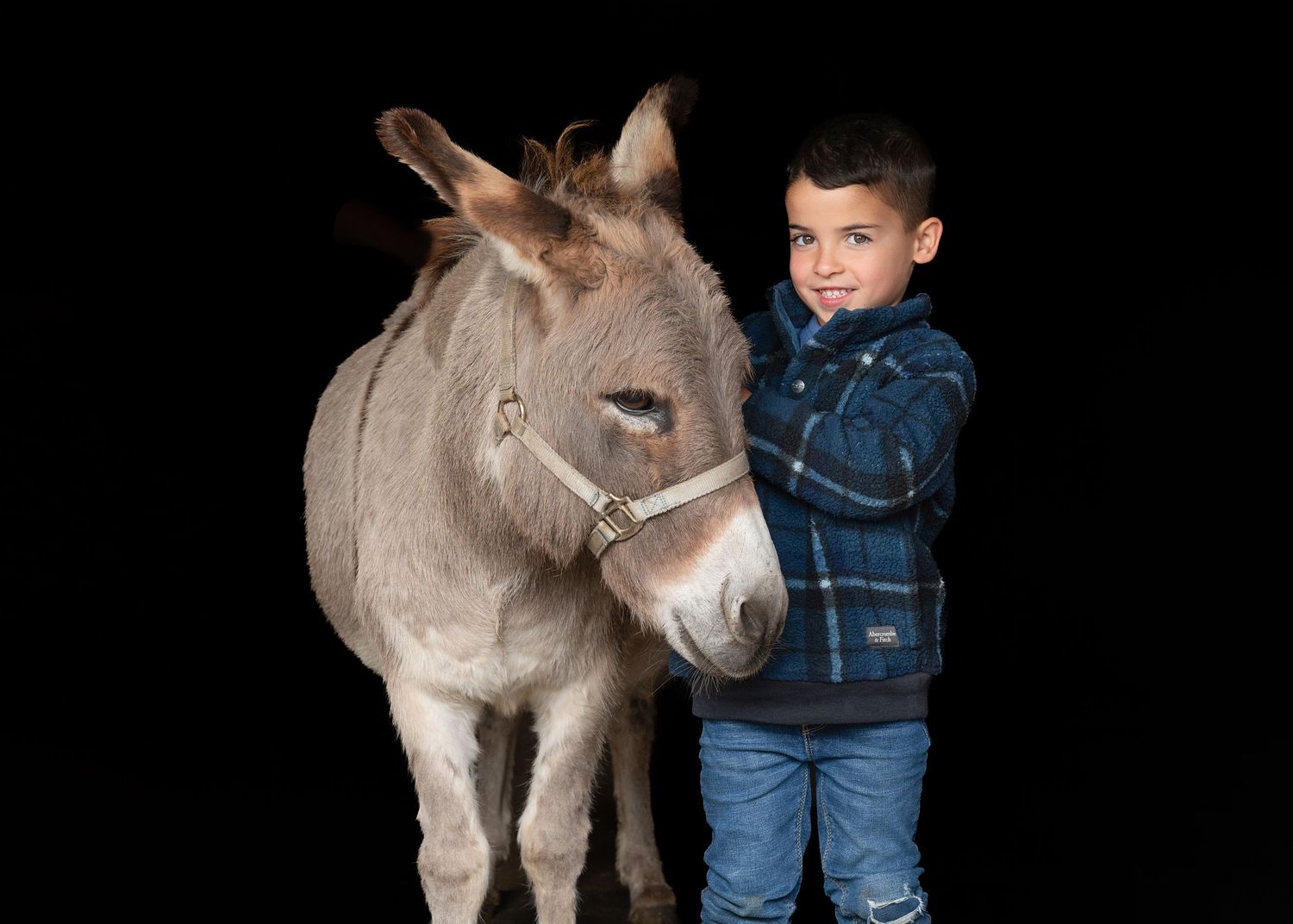 A small child in blue stands next to a gentle gray donkey against a dark background.