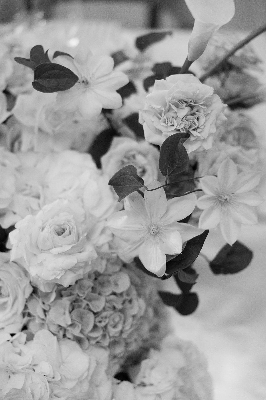 A black and white photograph of delicate floral arrangement featuring roses, hydrangeas and clematis blooms.