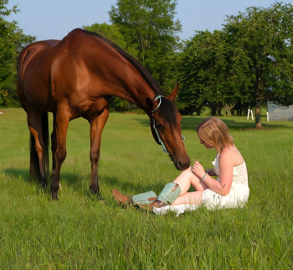 Family, equestrian photoshoot. Senior photography, family photoshoot. Graduate.