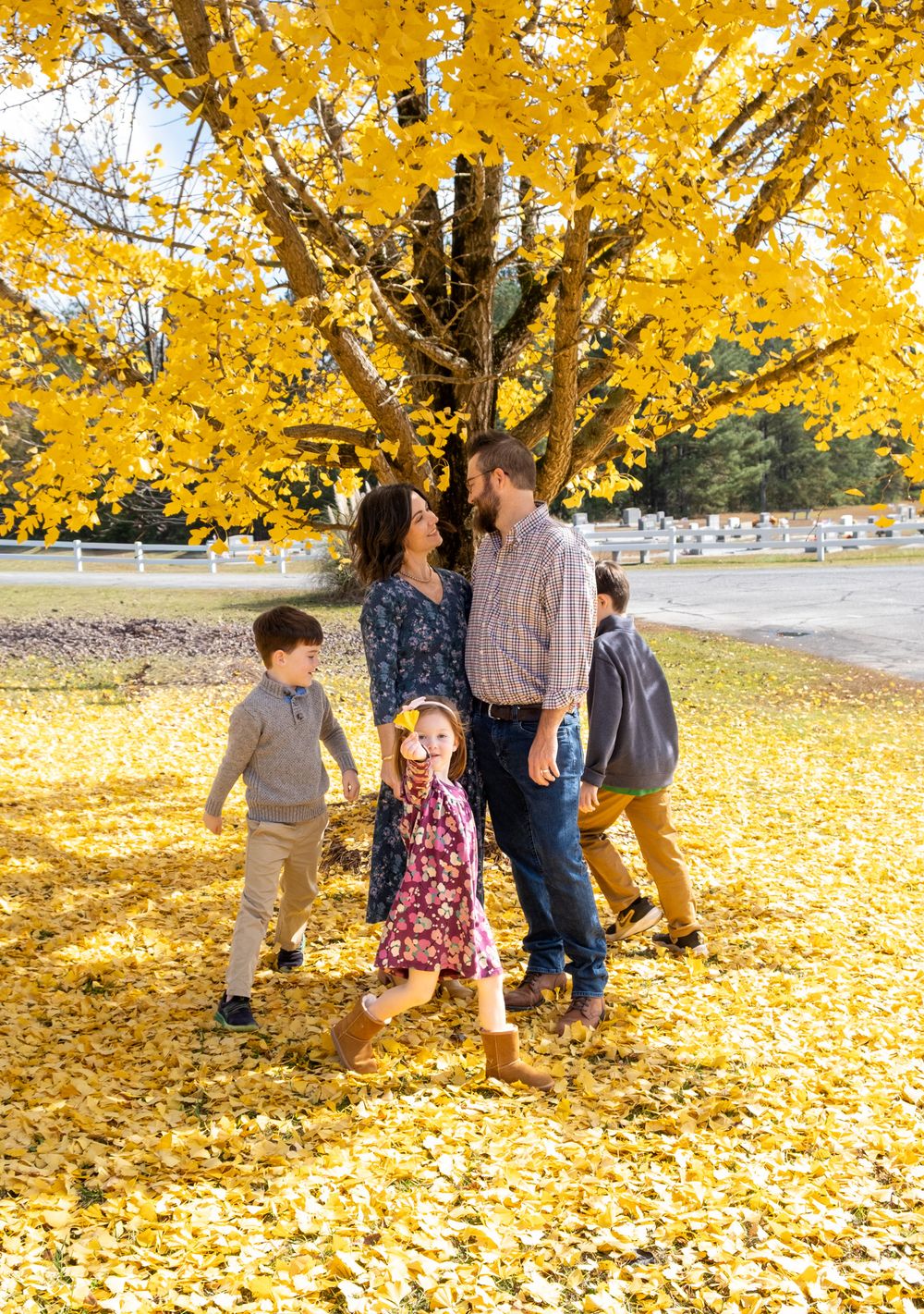 Family photography, children running around the gingko tree and mom and dad. Casual relaxed family photoshoot. Action family shot. Family