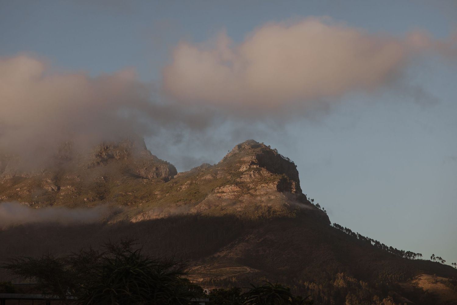 Cape Town wedding photographer
South Africa weddings
Documentary photography
