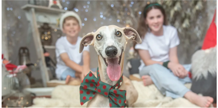 Family and pet dog relaxing together during casual photo session.