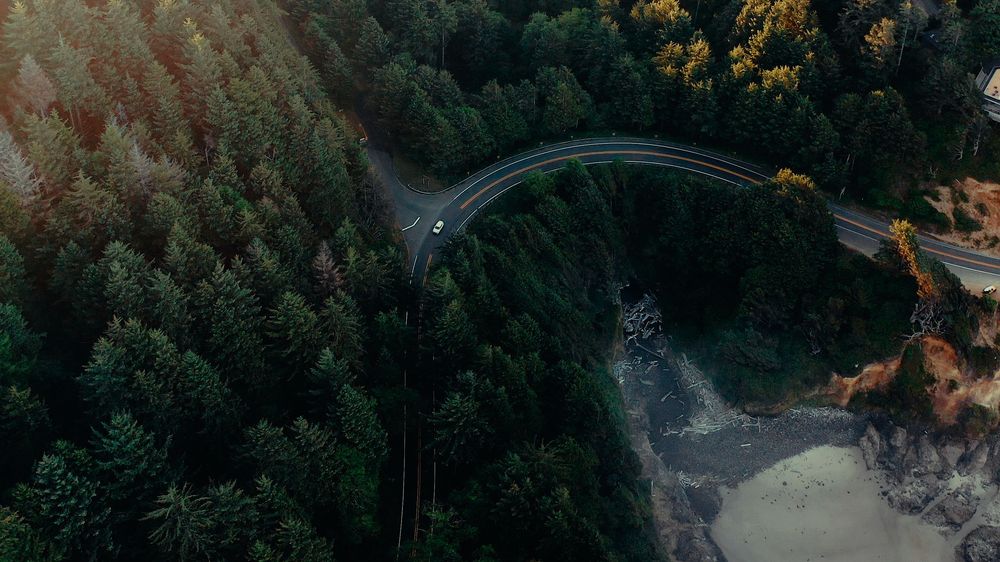 Aerial view of a winding road through dense green forest near a rocky coastline with soft sunlight filtering through trees.