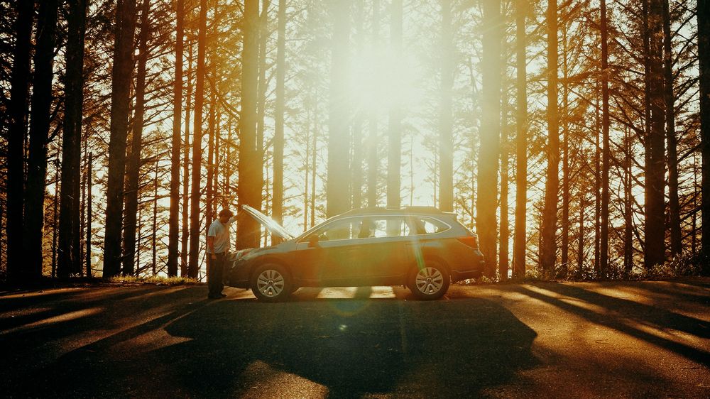 A car parked in a sunlit forest with golden rays streaming through tall trees.