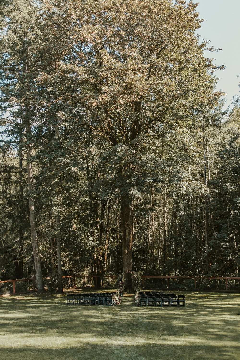 outdoor ceremony under large oak tree with black charts and dark deep red and green florals