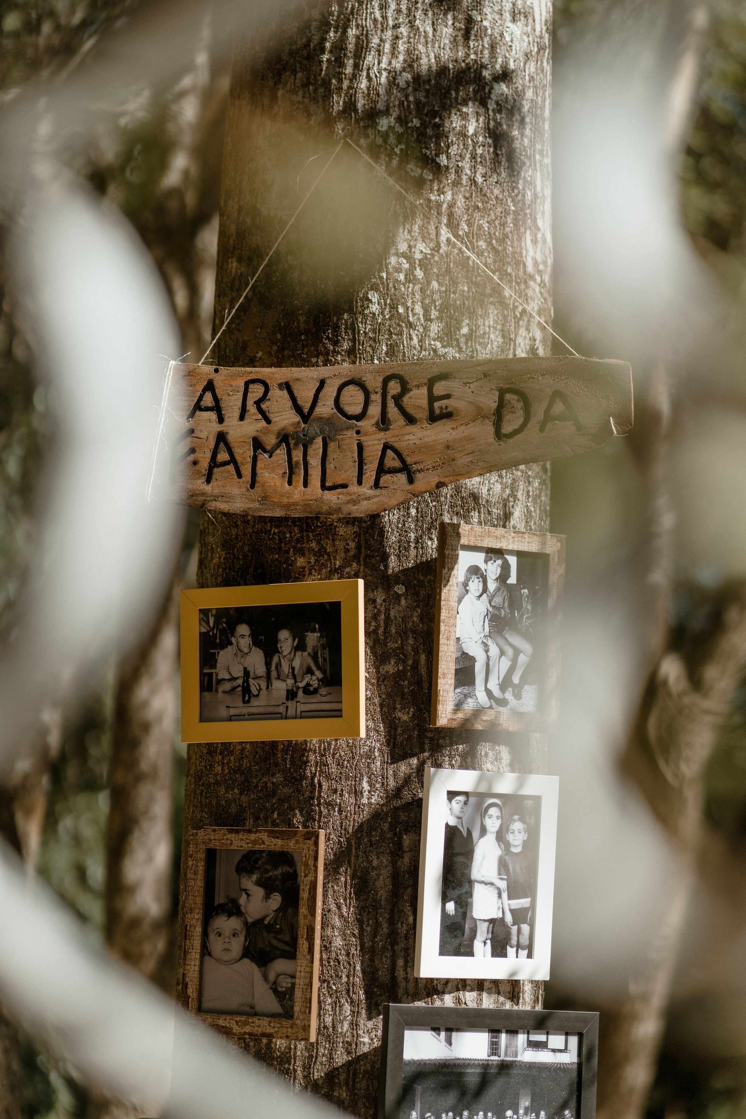 Vintage family photos displayed on rustic wooden signs attached to tree trunks.