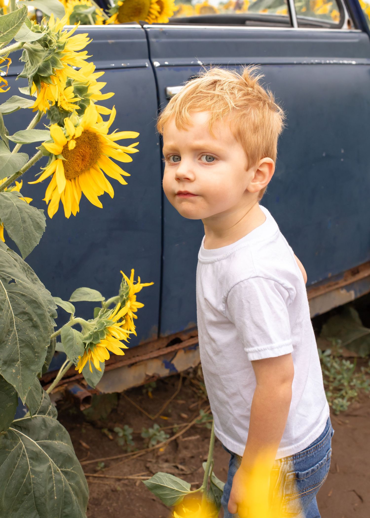 Professional Photography Janesville Wisconsin
Family
Love
Children
Sunflowers
Natural Light