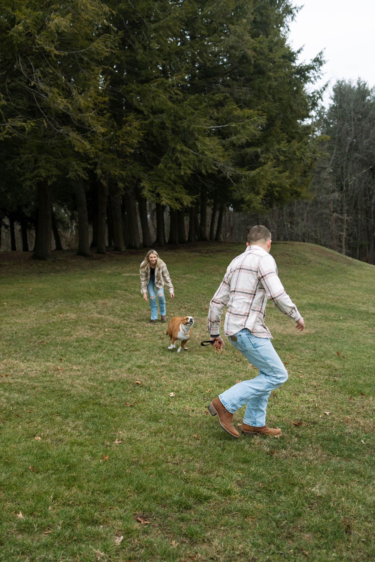 People and a dog play together on a grassy hill surrounded by tall evergreen trees on a fall afternoon.