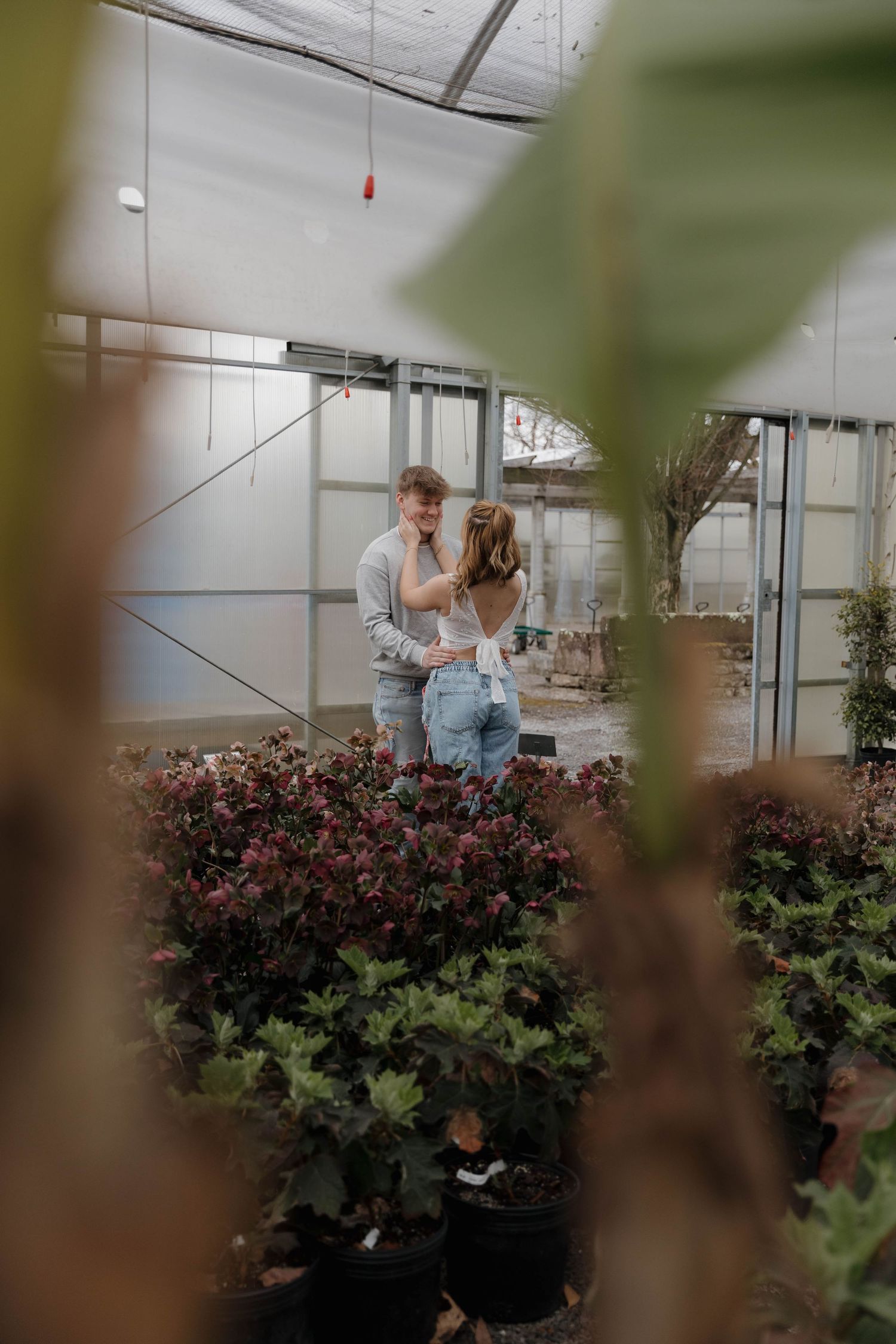 A couple embraces in a greenhouse surrounded by lush plants and pink flowers, viewed through green leaves.