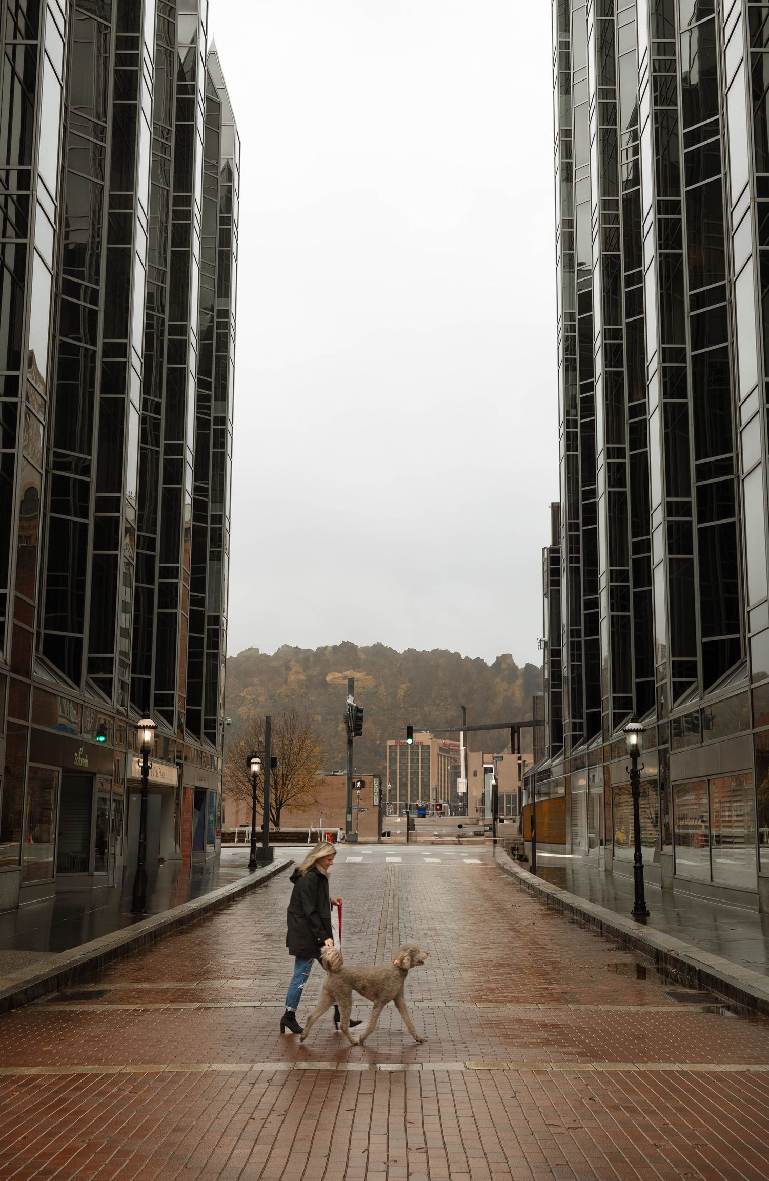 A person walking their dog on a rainy day between modern office buildings with brick paving and city lights.