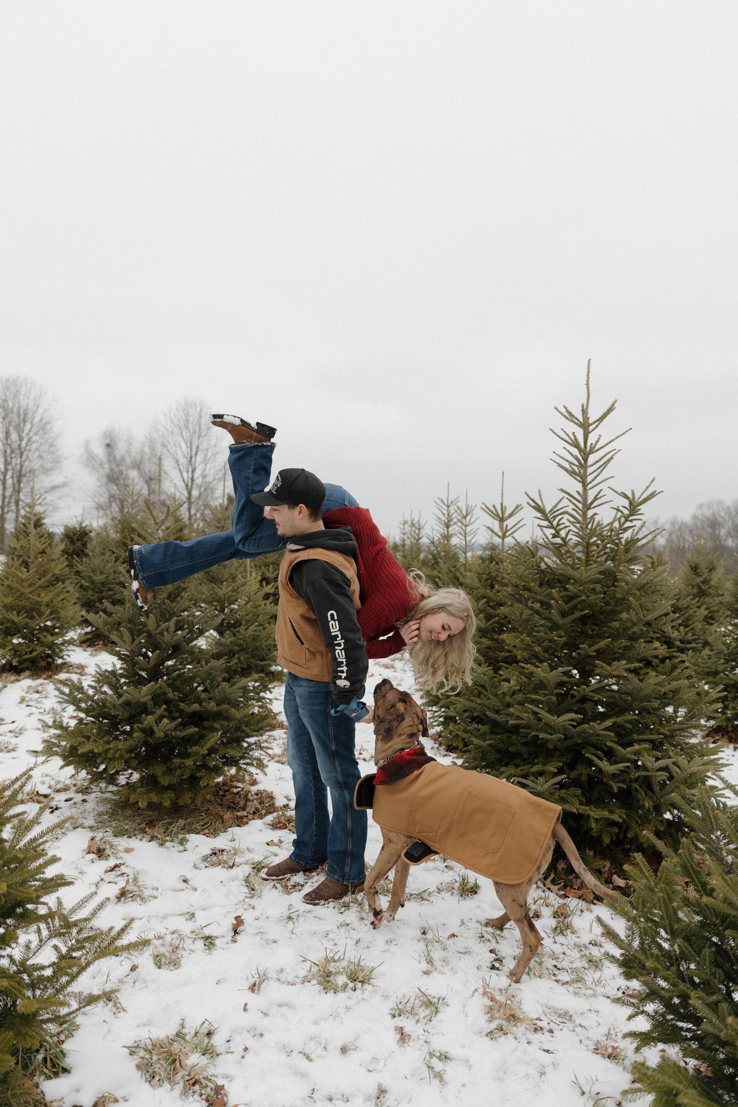A person and dog explore a snowy Christmas tree farm while searching for the perfect evergreen to take home.