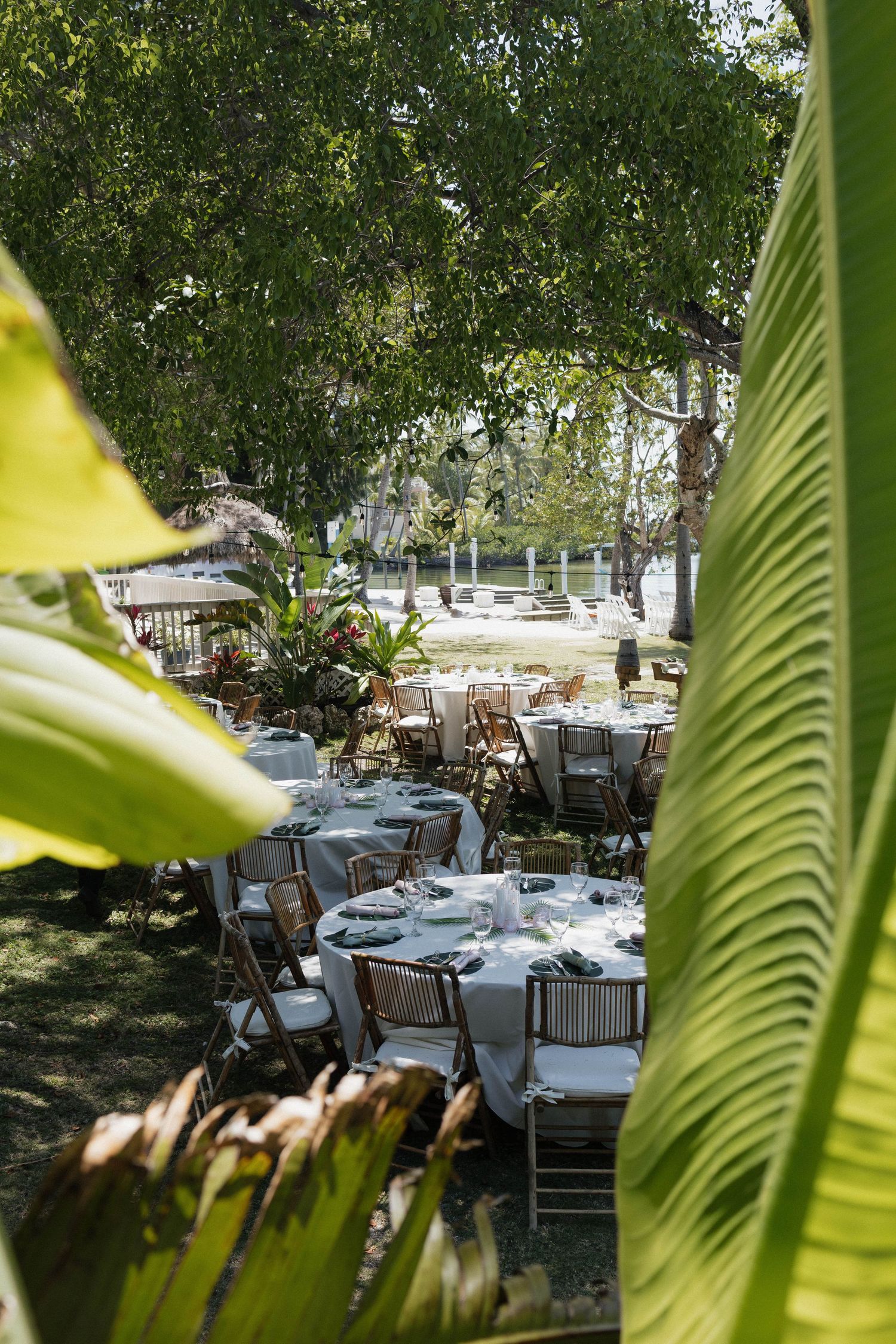 Elegant outdoor wedding reception setup with round tables under lush tropical trees and large green palm leaves in foreground.